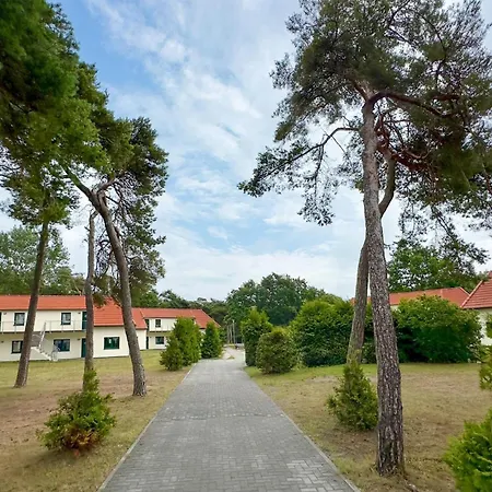Stunning In * Altenkirchen (Mecklenburg-Vorpommern)